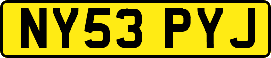 NY53PYJ