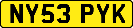 NY53PYK