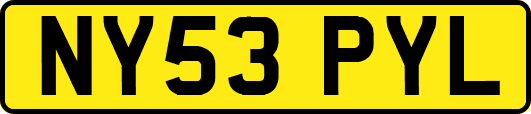 NY53PYL