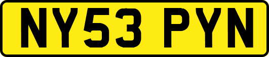 NY53PYN