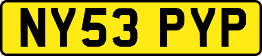 NY53PYP