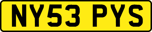 NY53PYS
