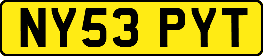 NY53PYT