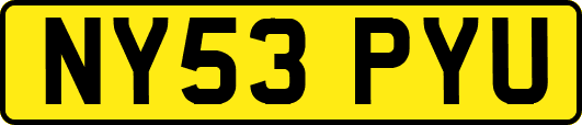 NY53PYU