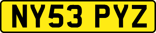 NY53PYZ