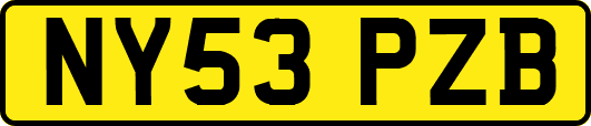 NY53PZB