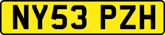NY53PZH