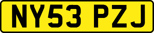 NY53PZJ