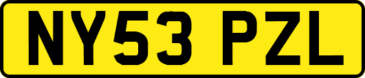 NY53PZL