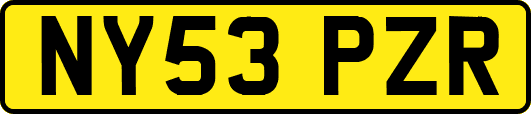 NY53PZR
