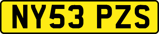 NY53PZS
