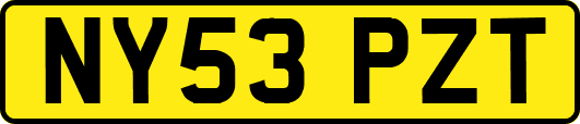 NY53PZT