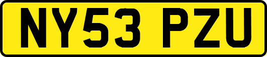NY53PZU