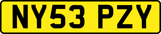 NY53PZY