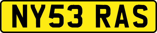 NY53RAS