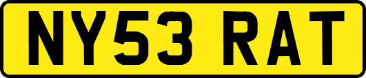 NY53RAT
