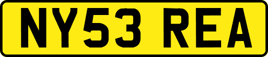 NY53REA