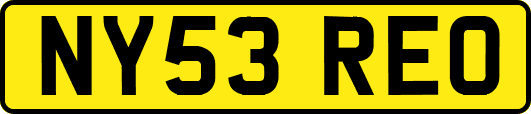 NY53REO