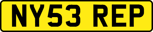 NY53REP