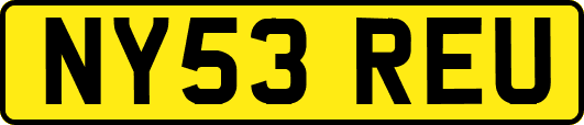 NY53REU