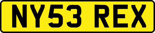 NY53REX