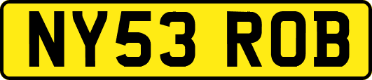 NY53ROB