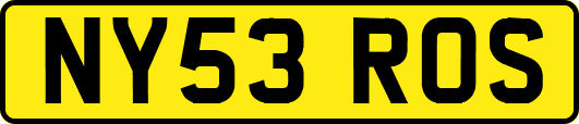 NY53ROS