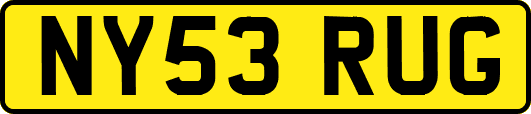 NY53RUG
