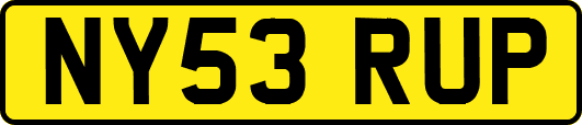NY53RUP