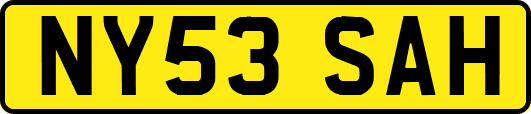 NY53SAH