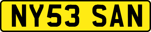 NY53SAN