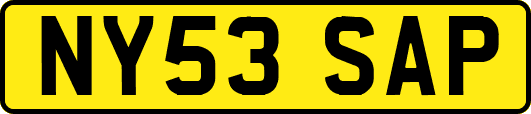 NY53SAP