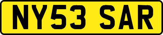 NY53SAR