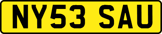 NY53SAU