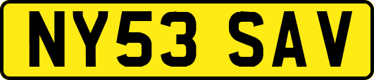 NY53SAV