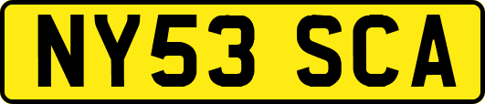 NY53SCA