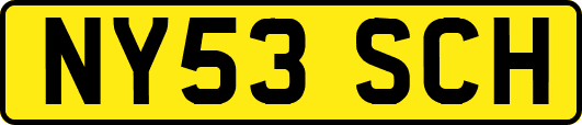 NY53SCH