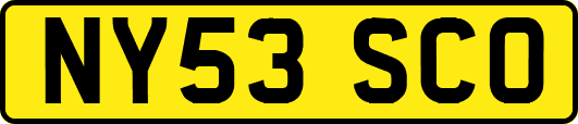 NY53SCO