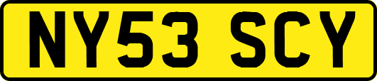 NY53SCY