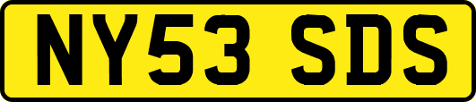 NY53SDS