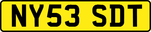 NY53SDT