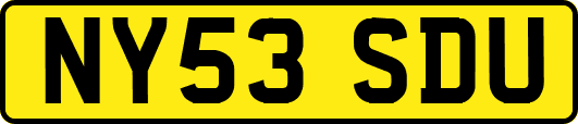 NY53SDU