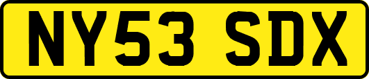 NY53SDX