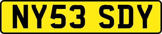 NY53SDY