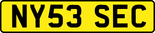 NY53SEC