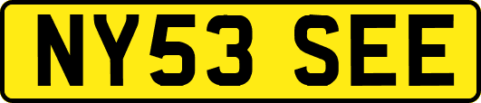NY53SEE