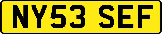NY53SEF