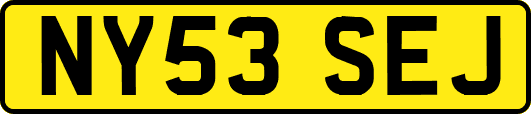 NY53SEJ