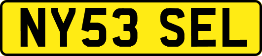 NY53SEL
