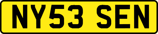 NY53SEN